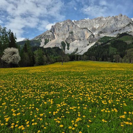 Family Appartment - Dachstein View 람자우 암 다흐스타인 외부 사진