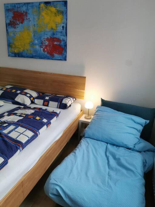 Family Appartment - Dachstein View 람자우 암 다흐스타인 외부 사진