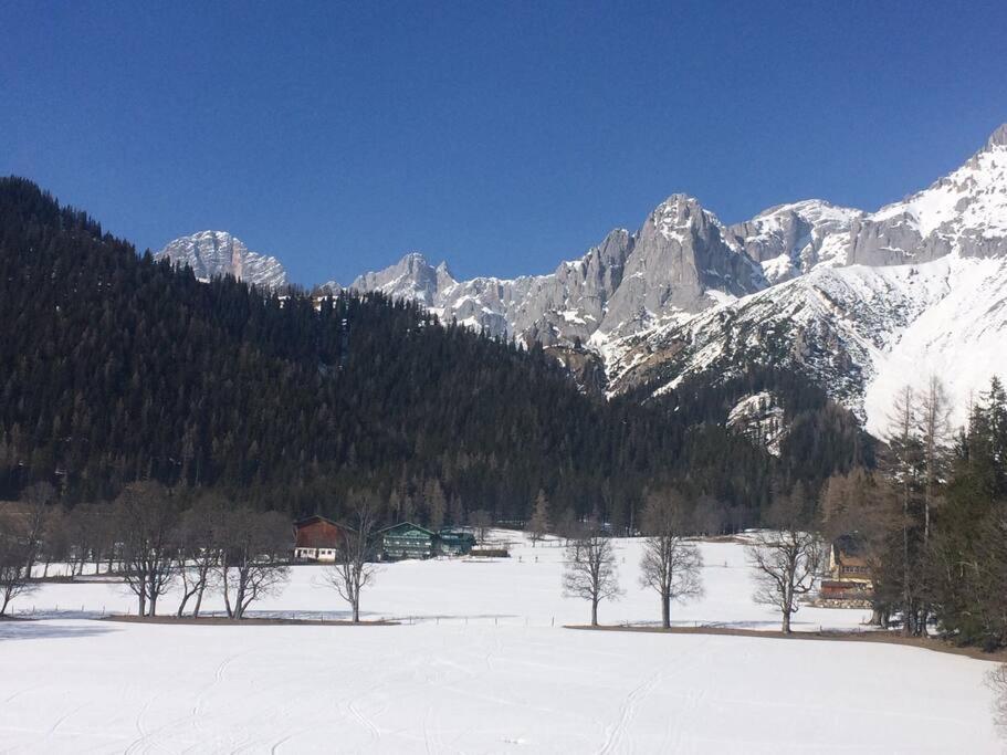 Family Appartment - Dachstein View 람자우 암 다흐스타인 외부 사진