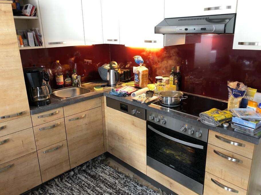 Family Appartment - Dachstein View 람자우 암 다흐스타인 외부 사진