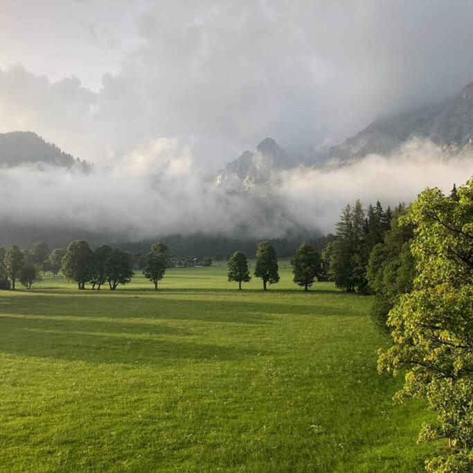 Family Appartment - Dachstein View 람자우 암 다흐스타인 외부 사진