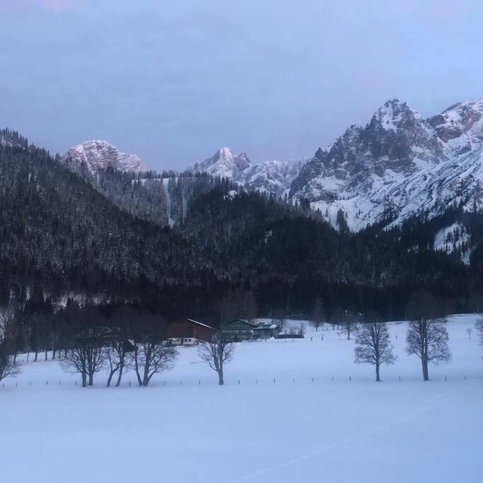Family Appartment - Dachstein View 람자우 암 다흐스타인 외부 사진
