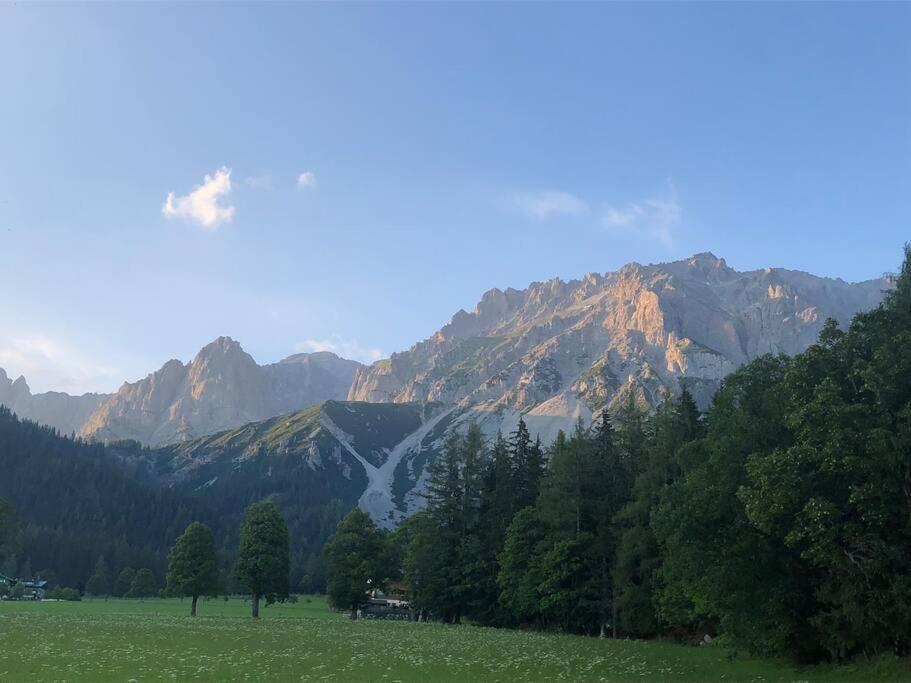 Family Appartment - Dachstein View 람자우 암 다흐스타인 외부 사진