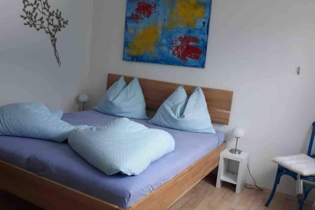 Family Appartment - Dachstein View 람자우 암 다흐스타인 외부 사진