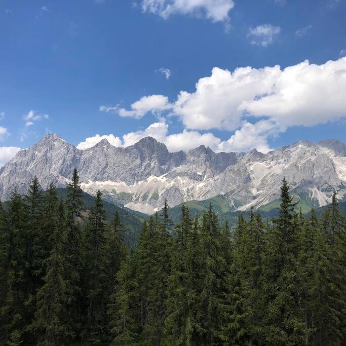 Family Appartment - Dachstein View 람자우 암 다흐스타인 외부 사진
