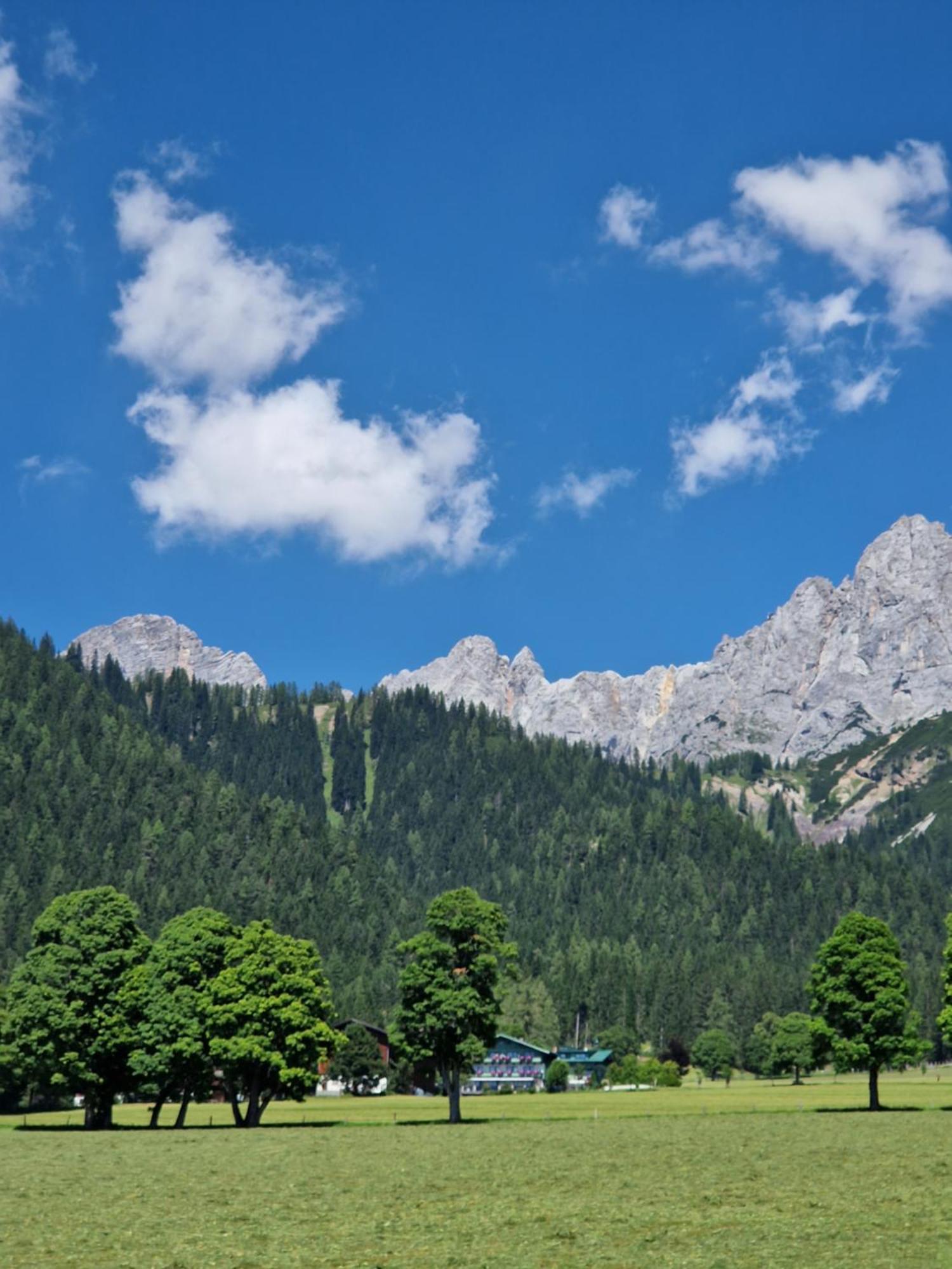 Family Appartment - Dachstein View 람자우 암 다흐스타인 외부 사진