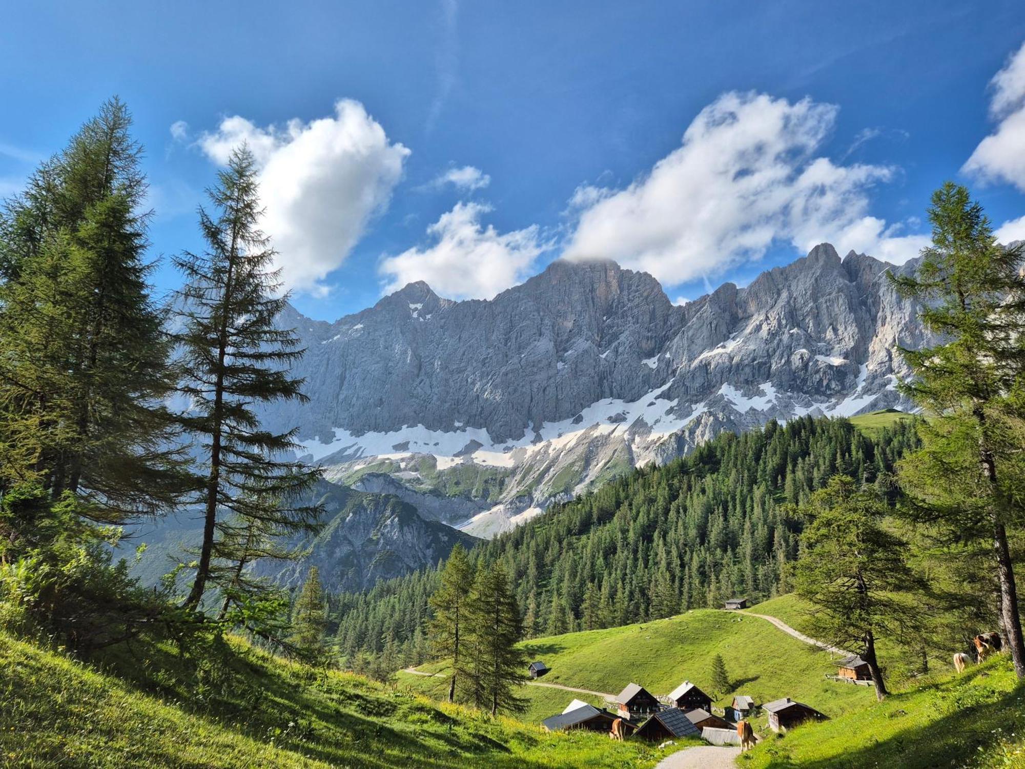 Family Appartment - Dachstein View 람자우 암 다흐스타인 외부 사진