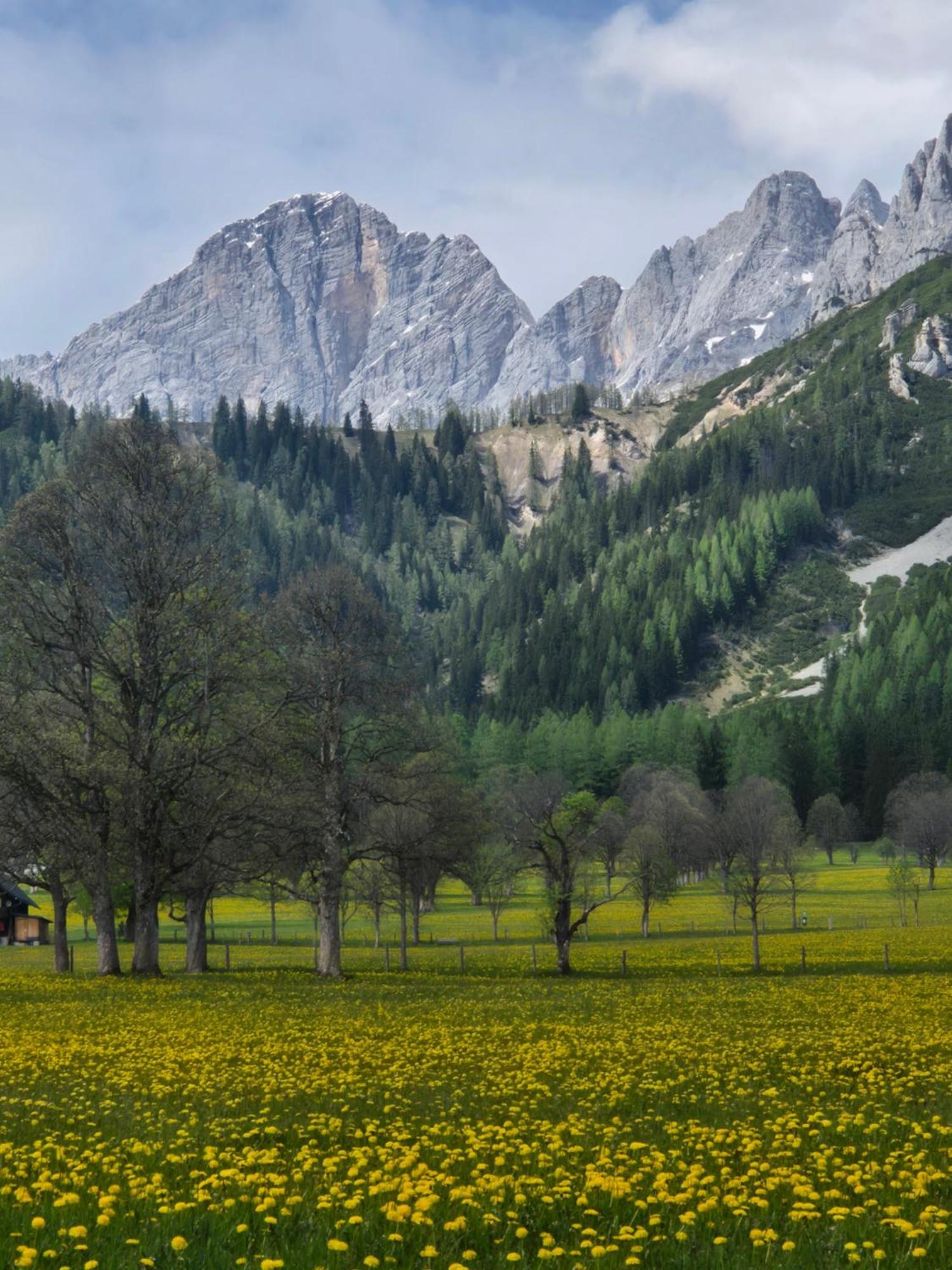 Family Appartment - Dachstein View 람자우 암 다흐스타인 외부 사진